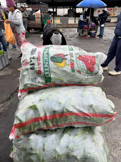 Impresos