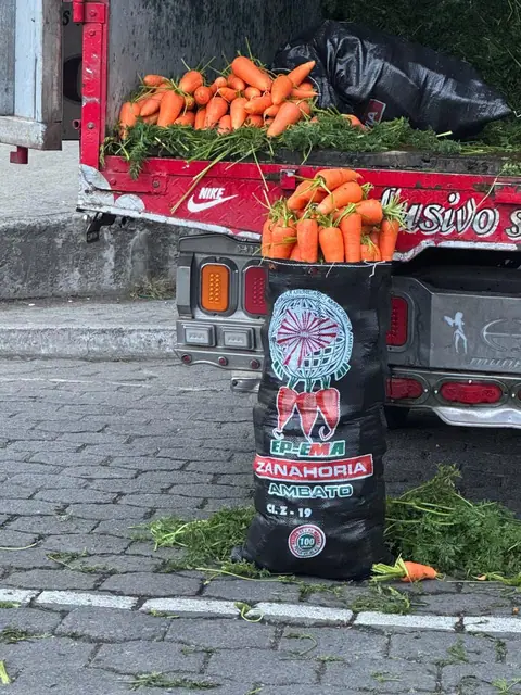 Impresos